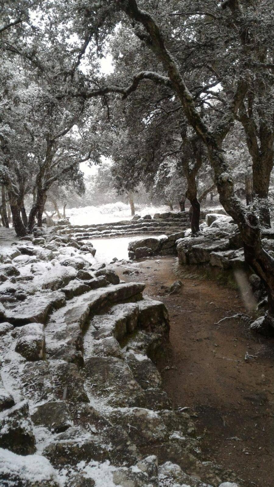 B&B Sa Zodia Guest House Bitti Buitenkant foto