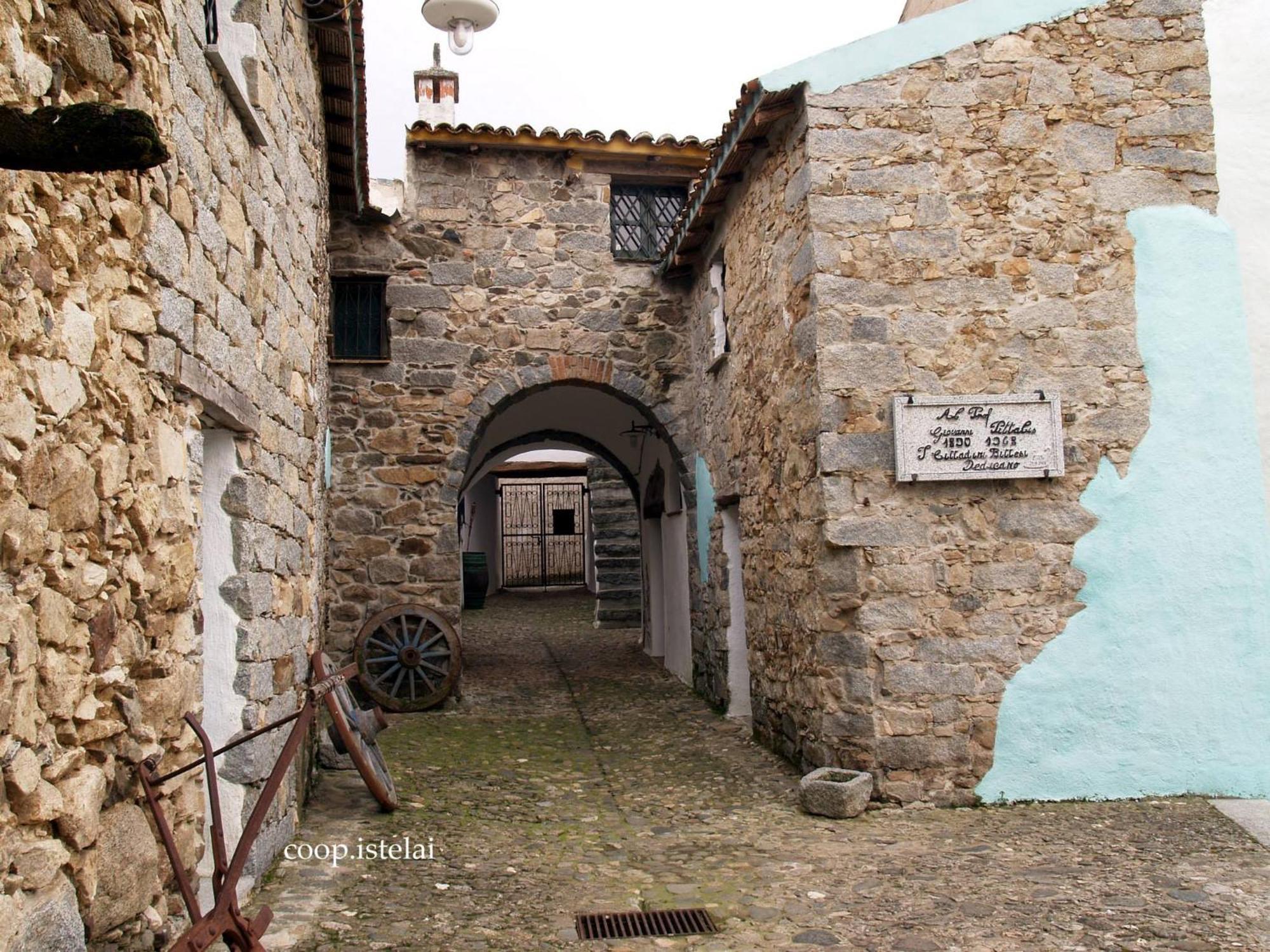 B&B Sa Zodia Guest House Bitti Buitenkant foto